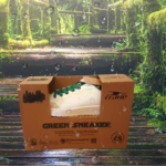 Green Sneaker bei Aldi